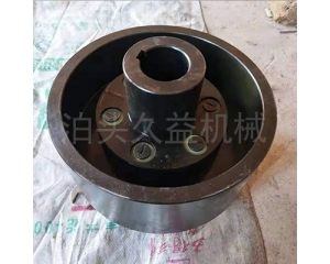 TLL型帶制動(dòng)輪彈性套柱銷(xiāo)聯(lián)軸器